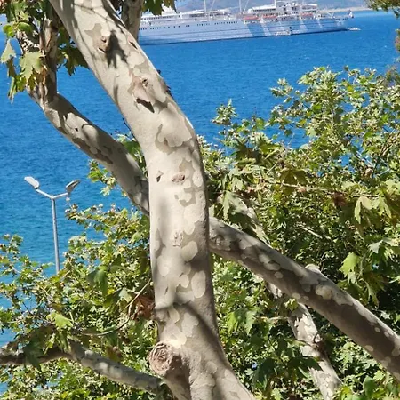 Blue Bay Front Uji Ftohte * Vlore